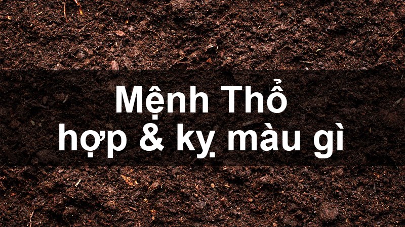 Mệnh Thổ phù hợp gam màu có tính trầm