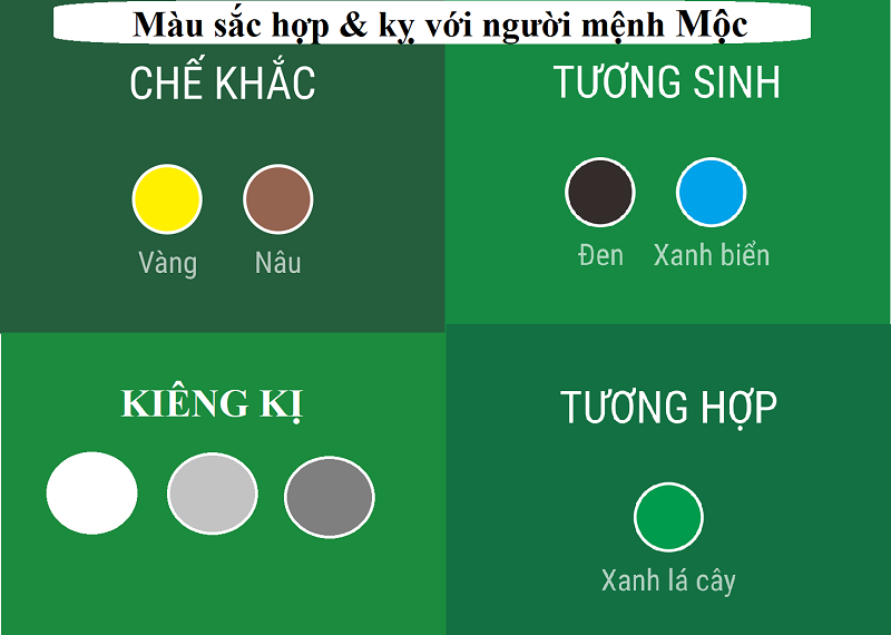 Mệnh Mộc hợp và khắc màu gì